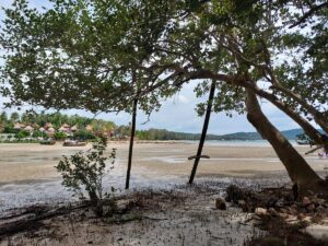 Ebbe Krabi Thailand