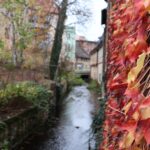 Altstadt Quedlinburg Bode