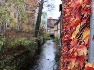 Altstadt Quedlinburg Bode