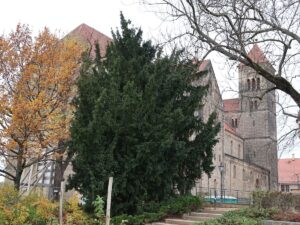 Altstadt Quedlinburg Kirche Schlossberg